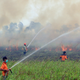 Illustration for article titled Fires in Indonesia are Emitting More Carbon Than All Americans Combined